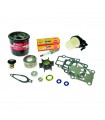 Kit de Mantenimiento  25 - 30 HP (300 Hr)