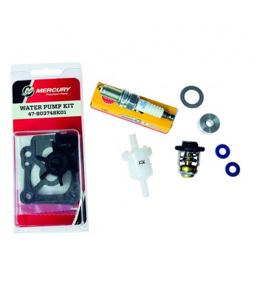 Kit de mantenimiento 8/9.9 HP Std (300 Hr)