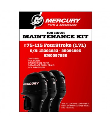 Kit de mantenimiento 100 Hour 75-115 HP FourStroke (1.7L)