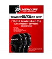 Kit de mantenimiento 100 Hour 75-115 HP FourStroke (1.7L)