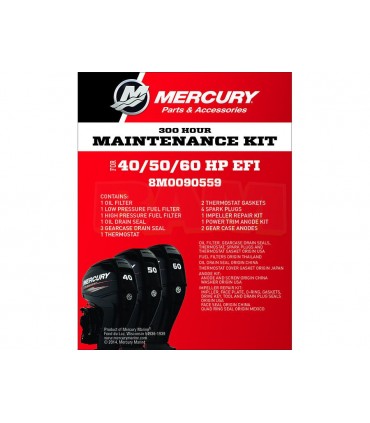 Kit de mantenimiento 40-60 EFI Big Foot & CT (300 Hr)