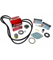 Kit de Servicio 300 Horas 3.0L Carb